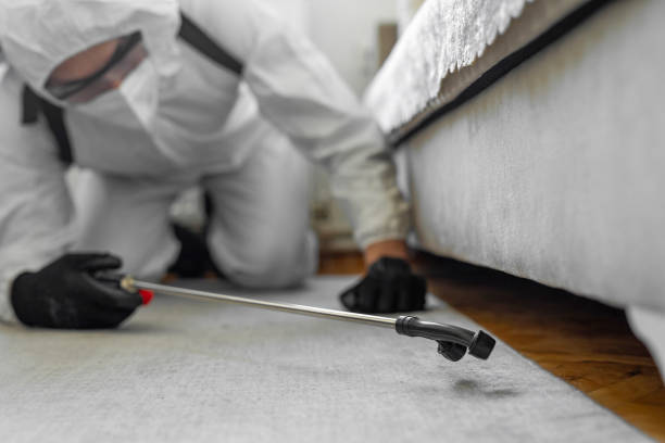 Professional Termite Control technician working in Avis, PA